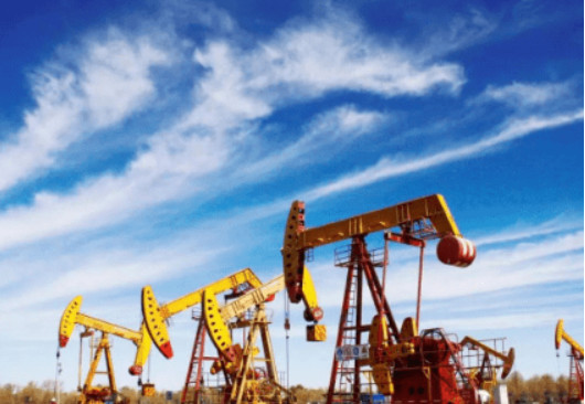 Aktueller Firmenfall über Anwendungen in der petrochemischen Industrie